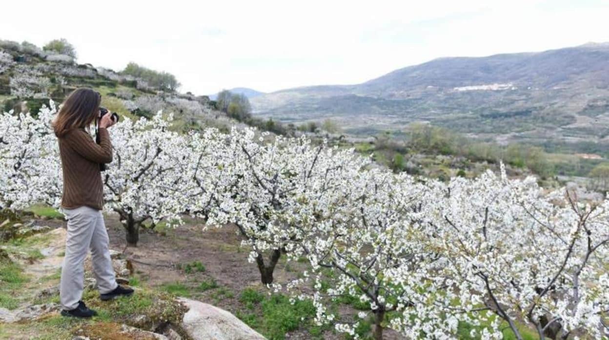 El Rincon De Markesa Plasencia Εξωτερικό φωτογραφία